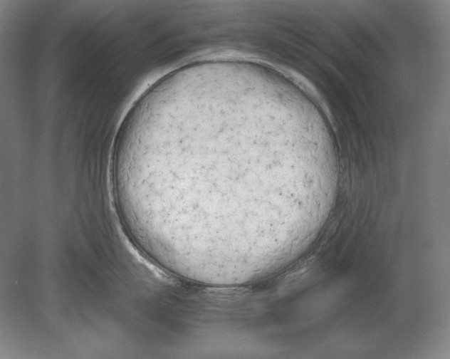 X0000080170863200701051629
