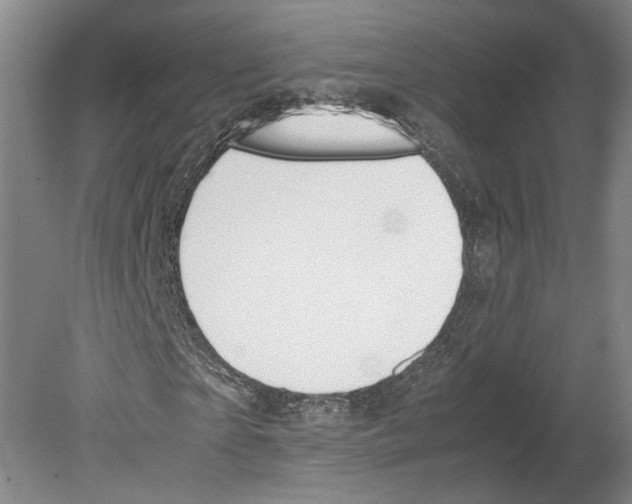 X0000080170865200701051629