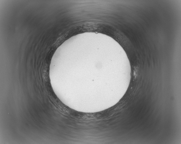 X0000080170867200701051629