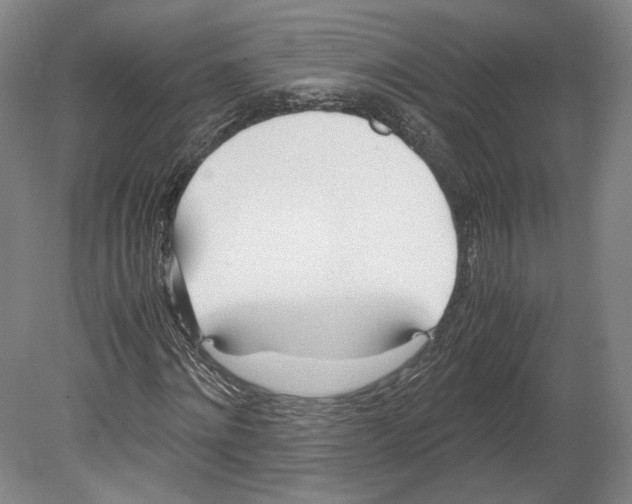 X0000080170868200701051629