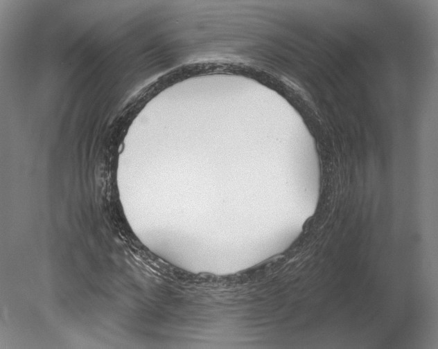 X0000080170872200701051628