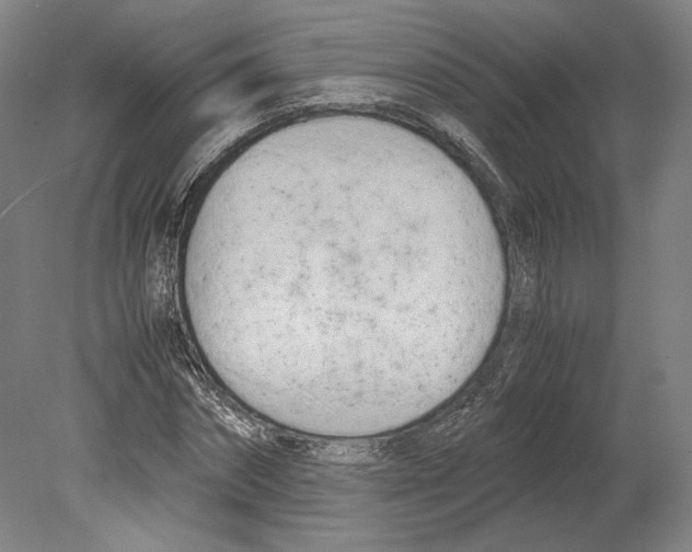 X0000080170874200701051628