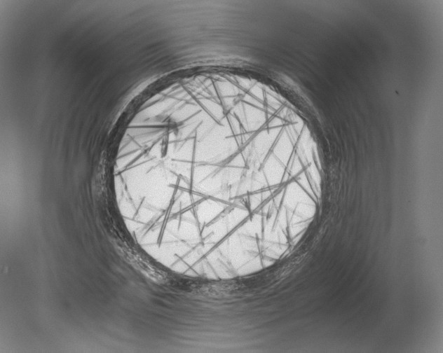 X0000080170875200701051628