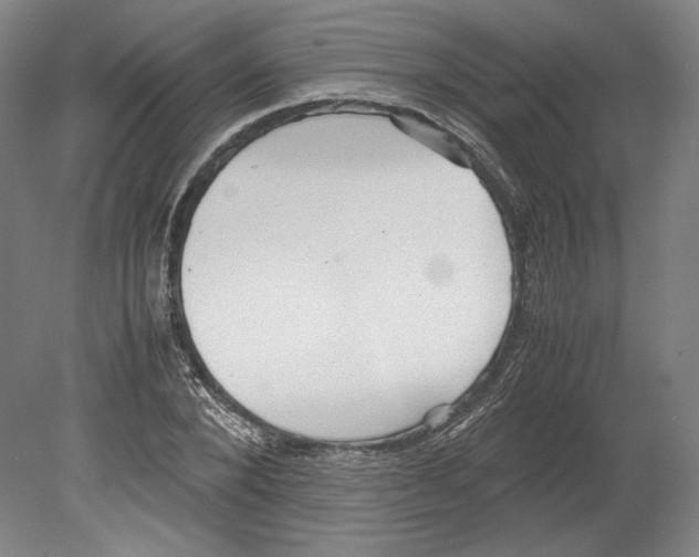 X0000080170880200701051628