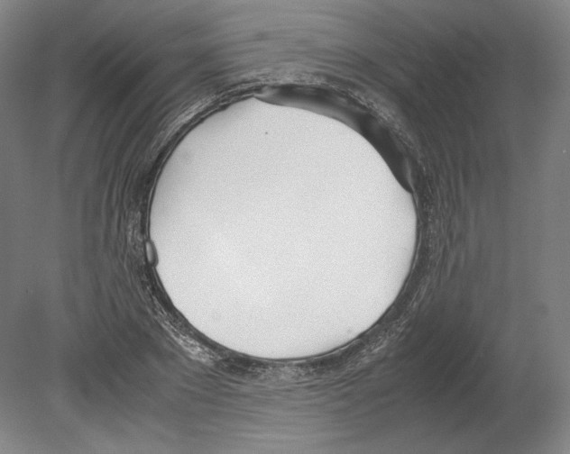 X0000080170881200701051628