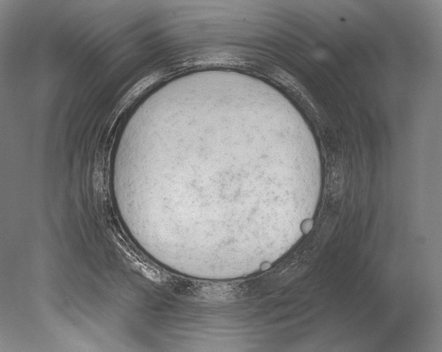 X0000080170882200701051628