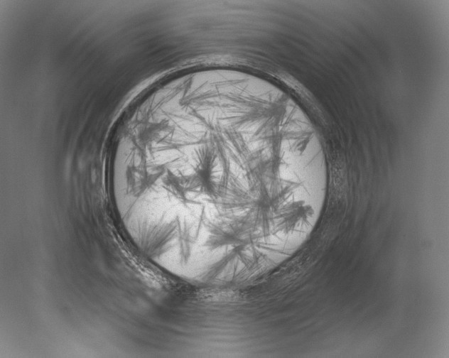 X0000080170886200701051628