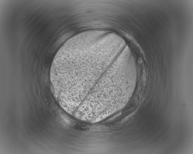 X0000080170889200701051628