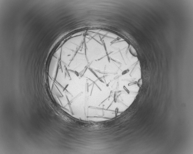 X0000080170891200701051628