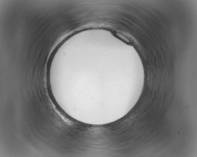 X0000080170894200701051628
