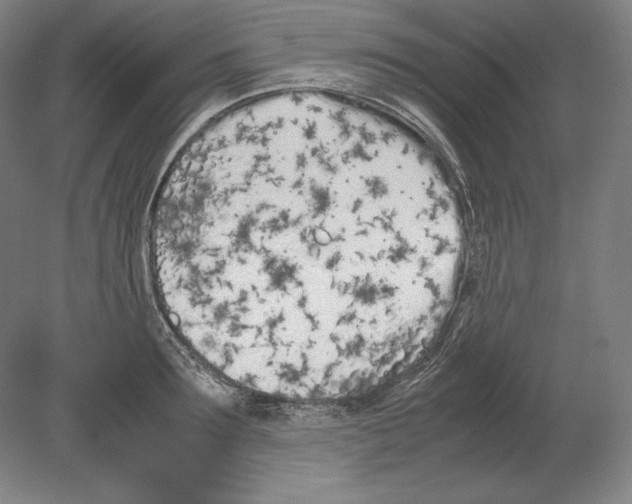 X0000080170899200701051628