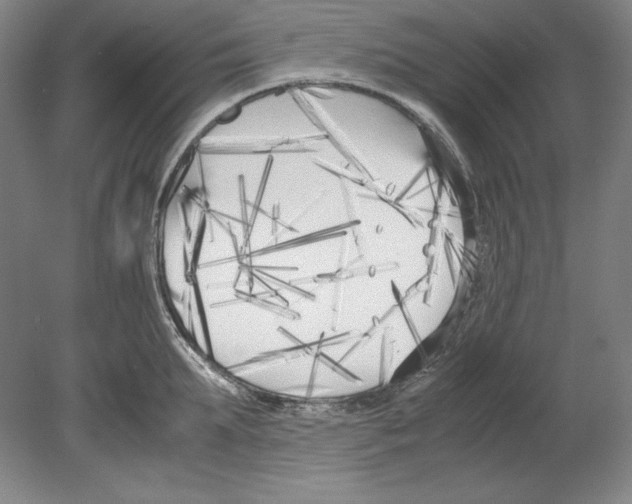 X0000080170903200701051628