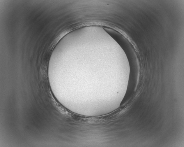 X0000080170905200701051628