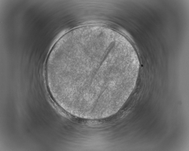 X0000080170907200701051628