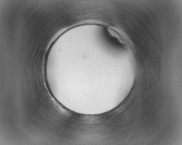 X0000080170910200701051628
