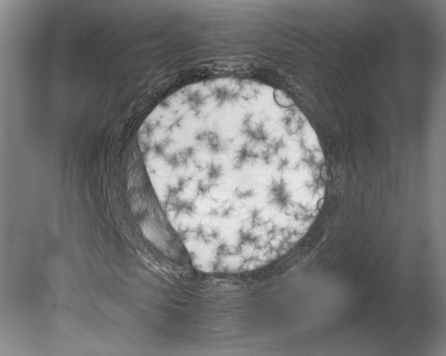 X0000080170913200701051627