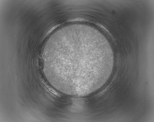 X0000080170921200701051627