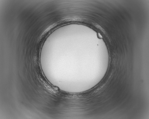 X0000080170922200701051627