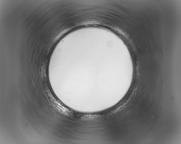 X0000080170929200701051627