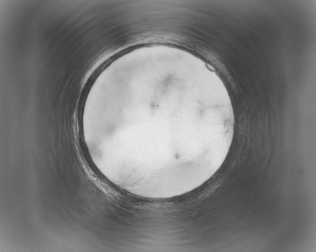 X0000080170936200701051627