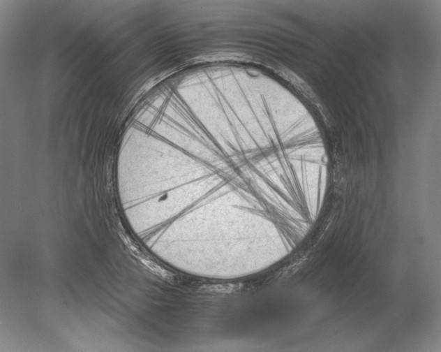 X0000080170937200701051627