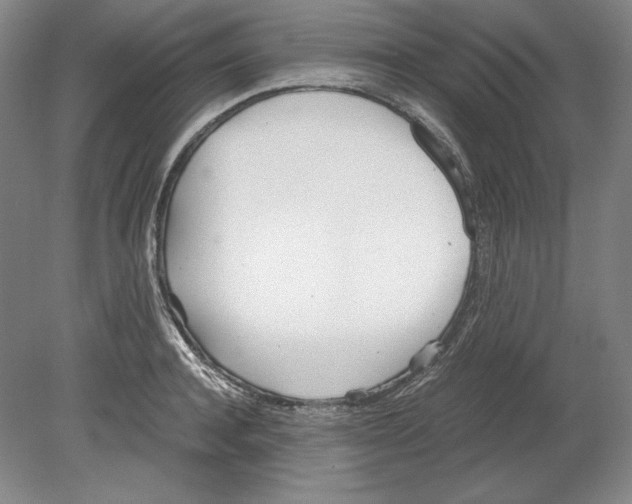 X0000080170944200701051628