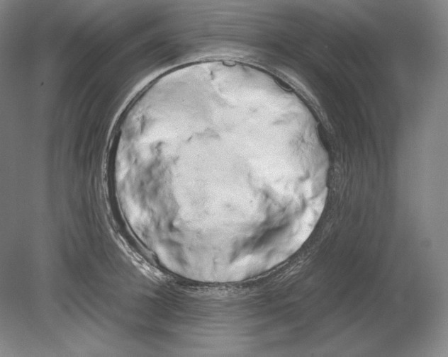 X0000080170948200701051628