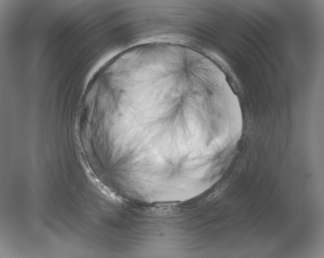 X0000080170952200701051628
