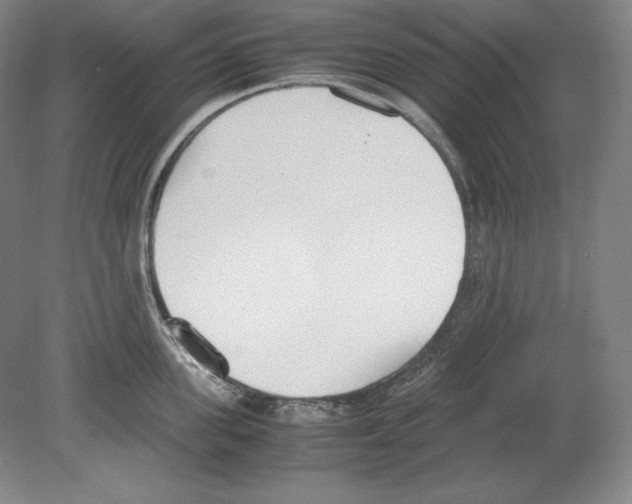 X0000080170955200701051628