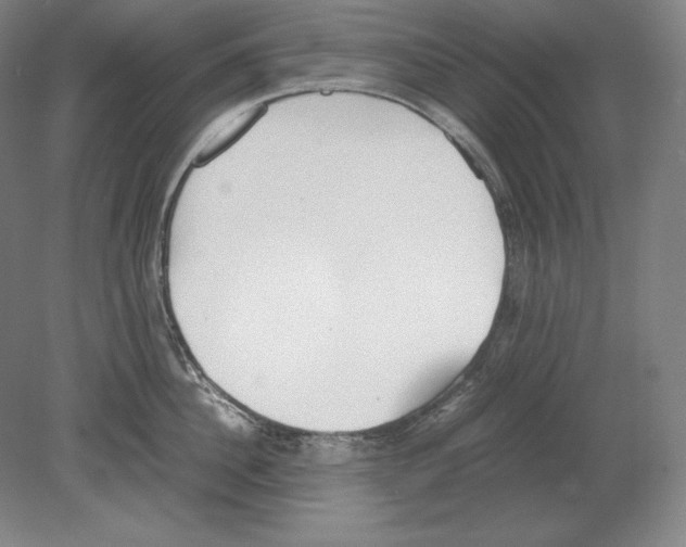 X0000080170956200701051628