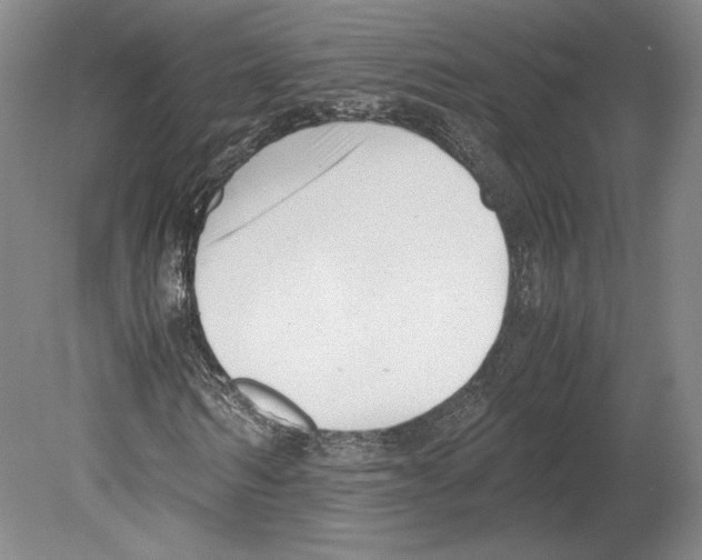 X0000080170962200701051627
