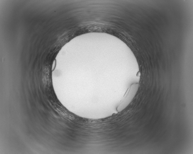 X0000080170964200701051627