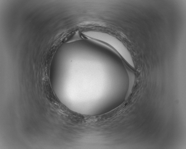 X0000080170965200701051627