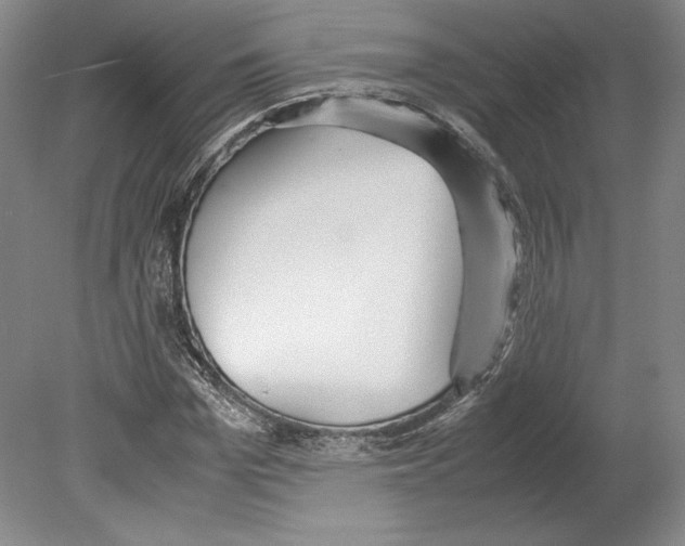 X0000080170969200701051627