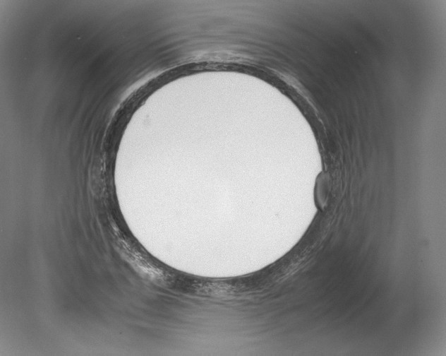 X0000080170971200701051627