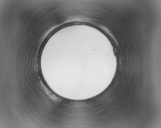 X0000080170972200701051627