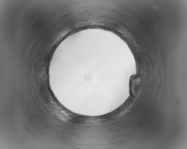 X0000080170977200701051627