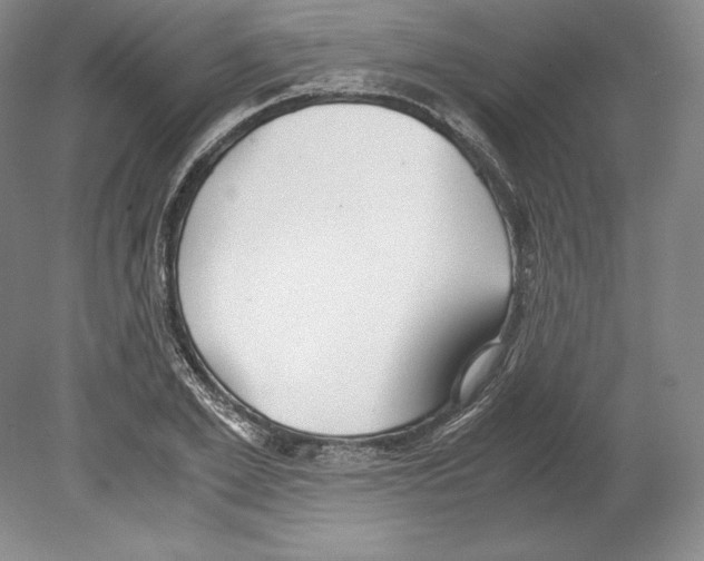 X0000080170981200701051627