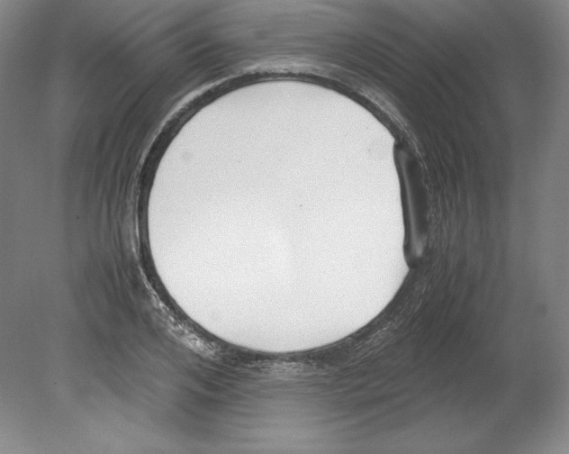 X0000080170984200701051627