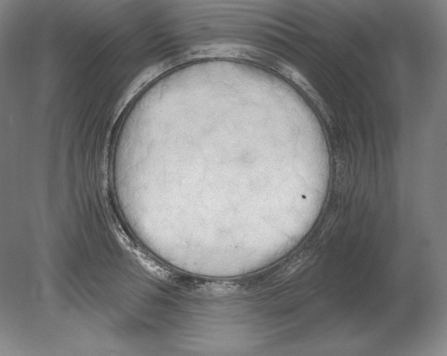 X0000080170994200701051626