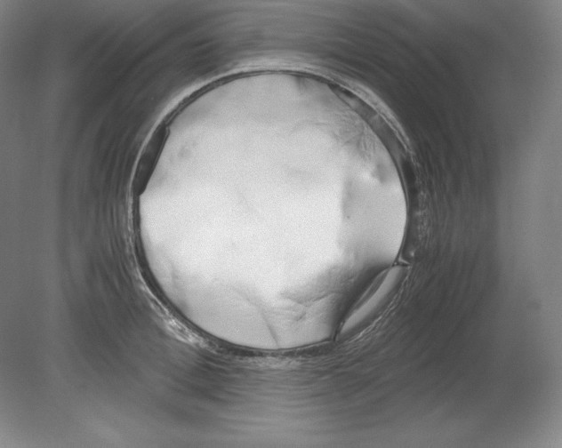 X0000080170996200701051626