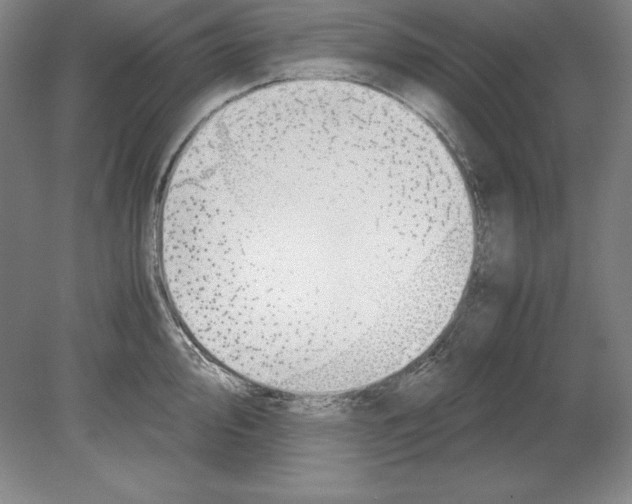 X0000080171000200701051626