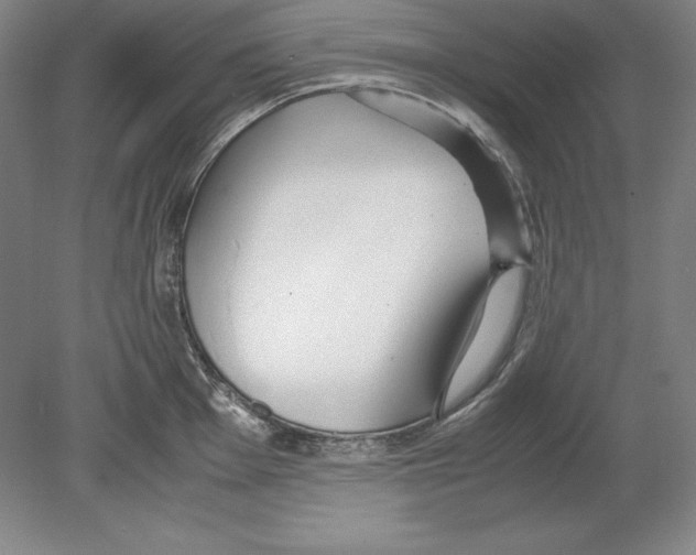 X0000080171001200701051626