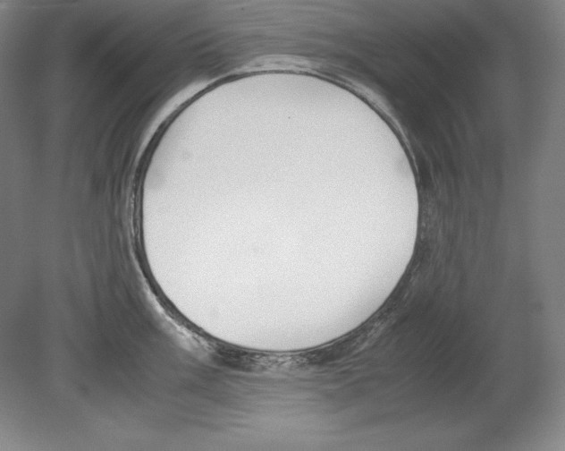 X0000080171003200701051626