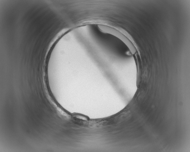 X0000080171005200701051626