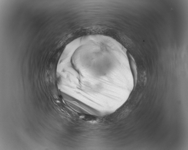 X0000080171010200701051625