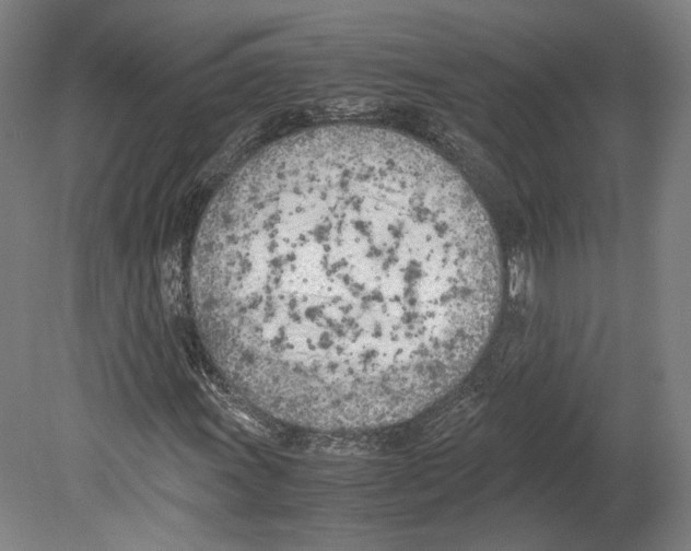X0000080171011200701051625
