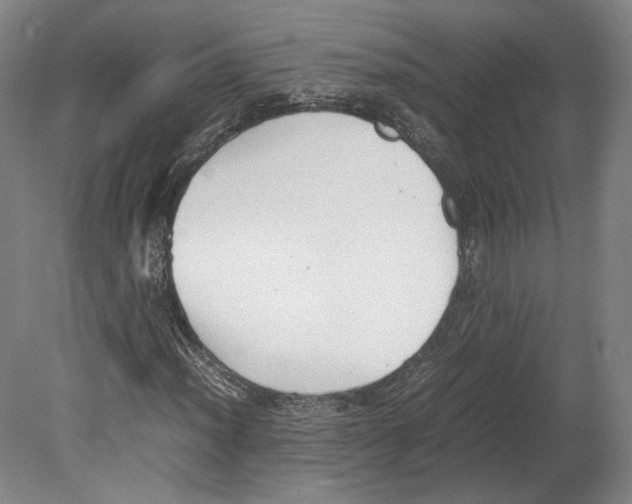 X0000080171012200701051625
