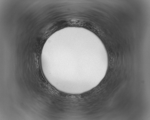 X0000080171013200701051625