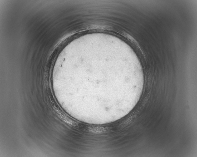 X0000080171019200701051626